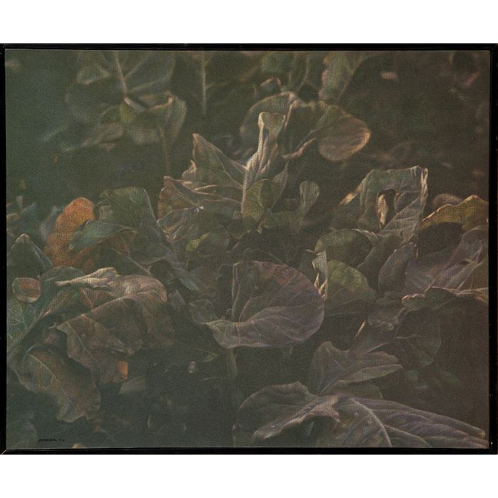 171RAFAEL ARMENGOL (Valencia 1940) Fernando Durán