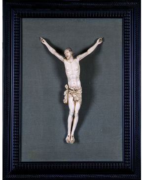 1121-Cristo de cuatro clavos en marfil tallado dispuesto sobre terciopelo gris y enmarcado C. 1900.