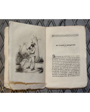 3002-FISIOLOGIA DEL NEGRO. Traducción libre por J.M. de A. (José Ma de Andueza). Madrid. Boix Editor. 1842