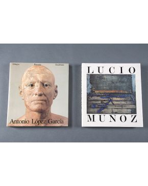 303-Catálogo Lucio Muñoz con texto de Victor Nieto Alcaide. Editado por Ledner& Ledner. Madrid 1989