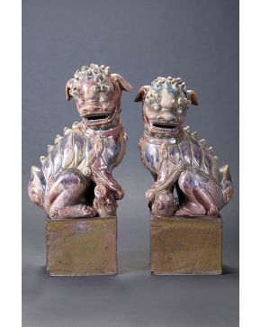 957-Decorativa pareja de leones Foo en cerámica vidriada. 