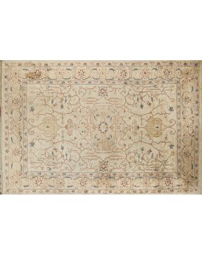 1151-Allfombra pakistaní con decoración de motivos vegetales estilizados y geométricos sobre campo beige. Colores complementarios: azul y granate. 
