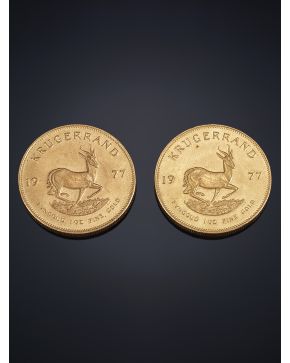 904-LOTE DE DOS MONEDAS DE 1 ONZA DE ORO DE KRUGERRAND SUDÁFRICA. AÑO 1977. 