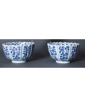 1347-Pareja de centros de estilo oriental en porcelana esmaltada blanca y azul con marcas de Altfield.