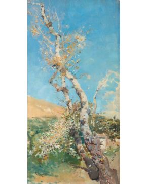308-ESCUELA ESPAÑOLA , s. XX, "Árbol (chopo)"