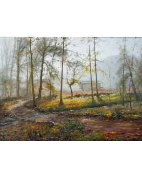 466-PERE COLLDECARRERA (1934-2020) "La Moixina de Olot" Óleo sobre lienzo F
