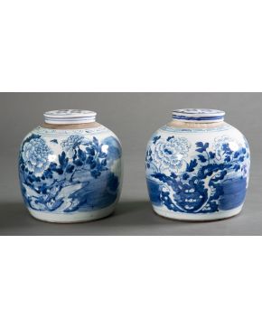 713-Pareja de tibores en porcelana china azul y blanca con decoración de peonías y paisajes Altur